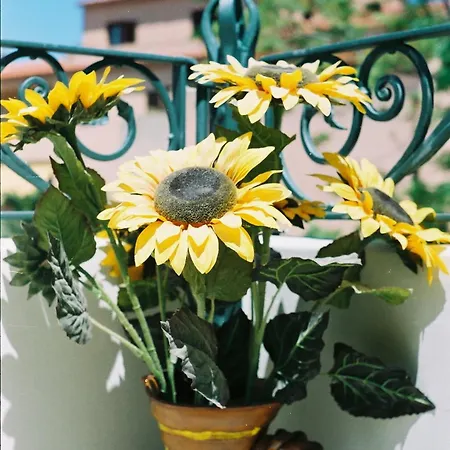 Bed & Breakfast Porto Romano *