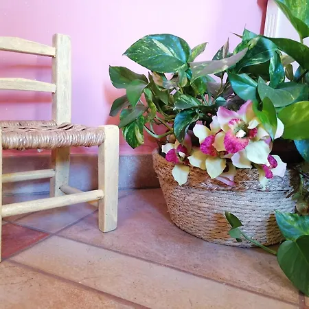 Bed & Breakfast Porto *